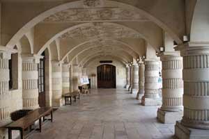 fotos3d-profundizando-01