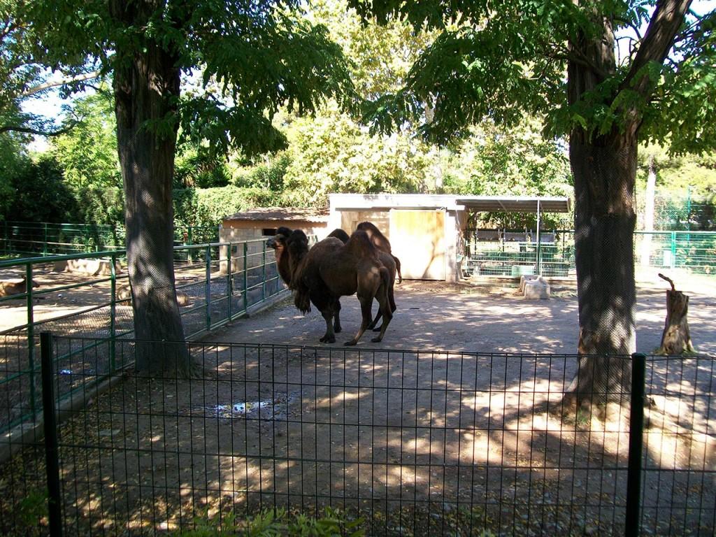 fotos3d-profundizando-08