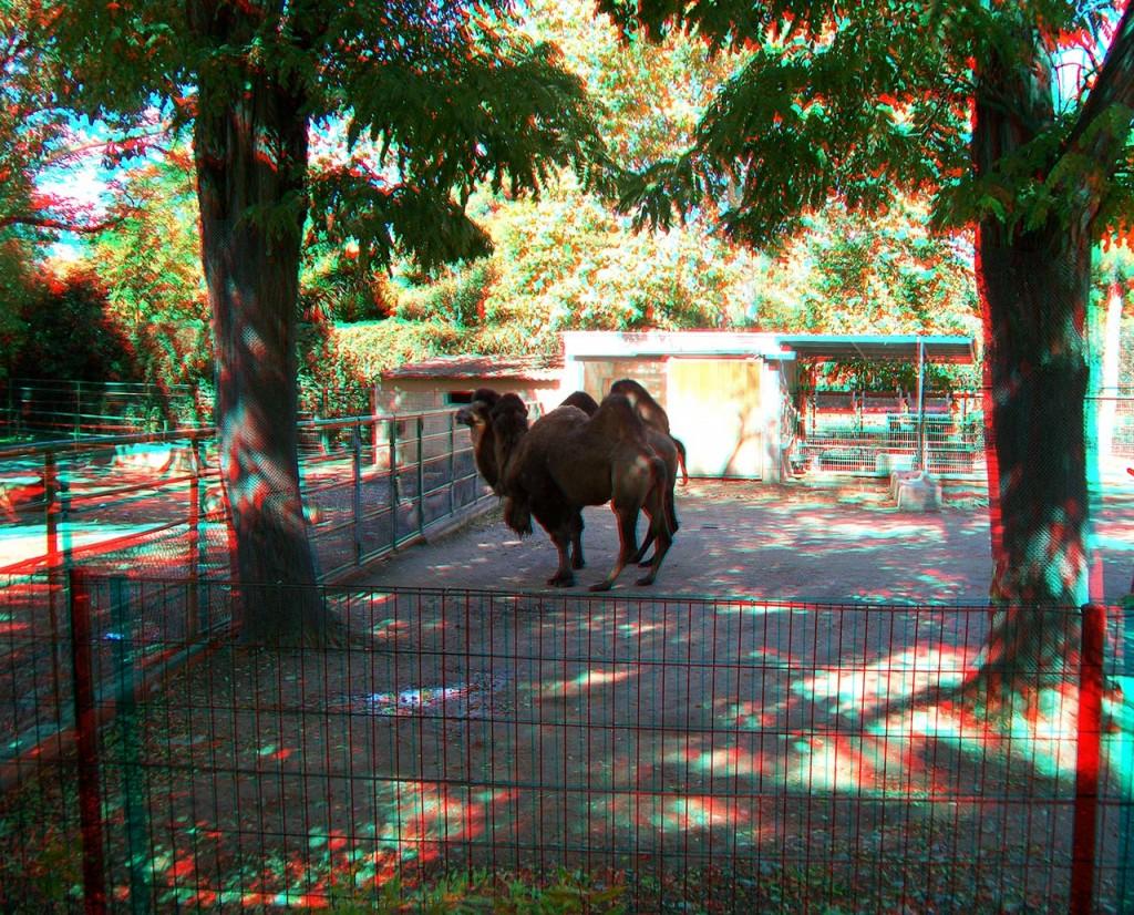 fotos3d-profundizando-09