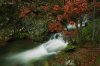 "Creek"