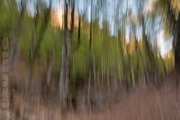 Arboles espectrales