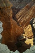 Barranco bardenero