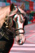 Caballo