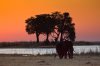 Chobe