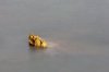 La roca de oro (Jose Luis Rubio Perez)
