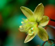 Macro 3D