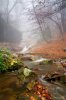 montseny