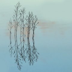 Paisaje ínfimo