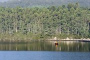 Pescando en las salinas