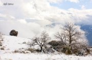 Un rincón de las Alpujarras