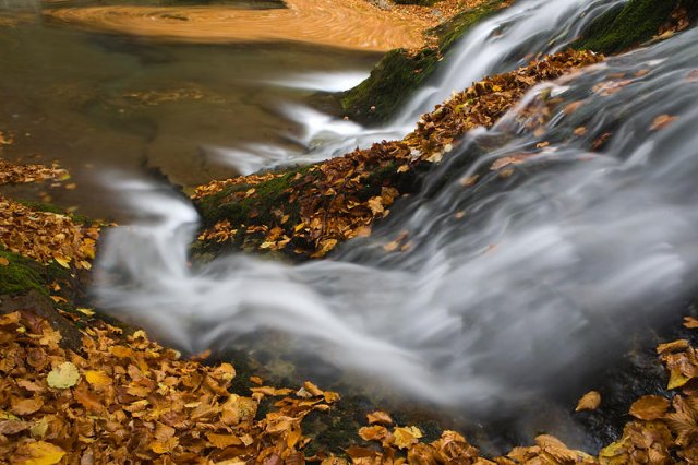 Agua y hojas