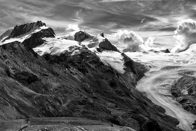 Alpino B&W