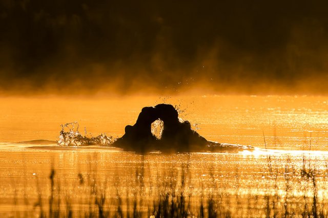 Amanece en Lake Panic