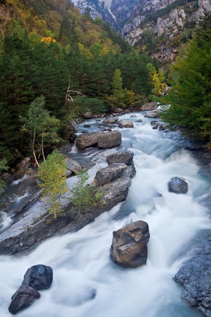 Bujaruelo, río Ara