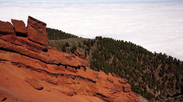 Cabeza de guanche