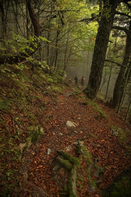 Caminar por senderos ocultos