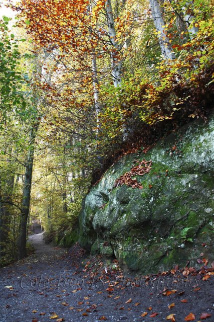 Camino de Gurten