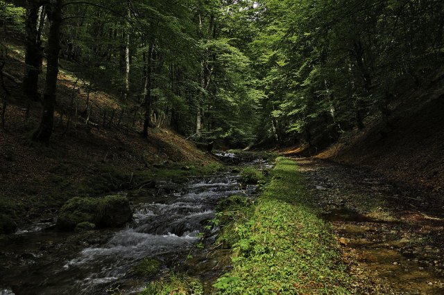 Caminos para perderse