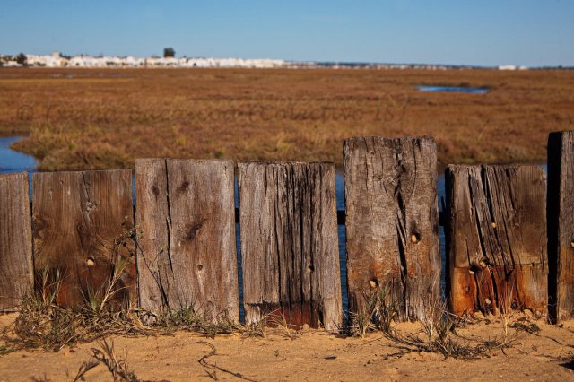 Cerca de Tavira