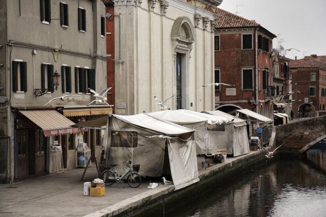 Chioggia