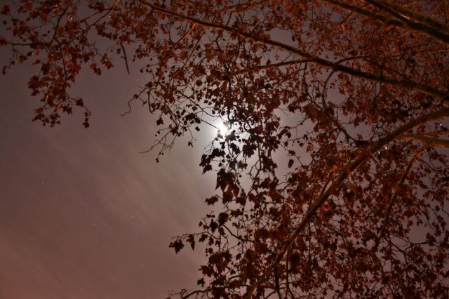 Cielo nocturno