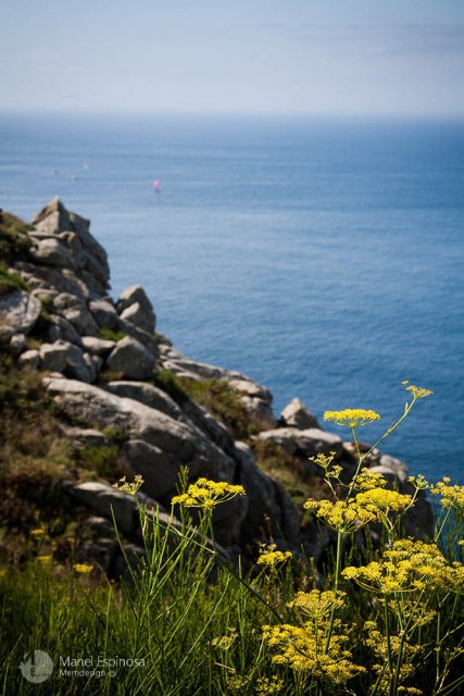 Colorful tranquility / Colorida tranquilidad