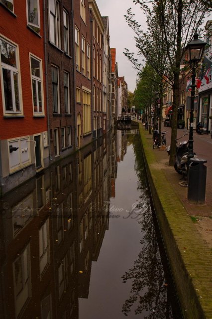 Delft