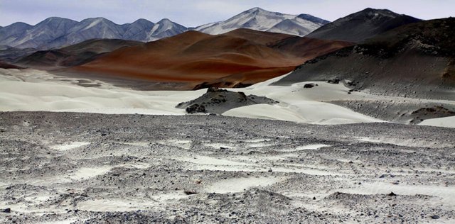 Desierto costero