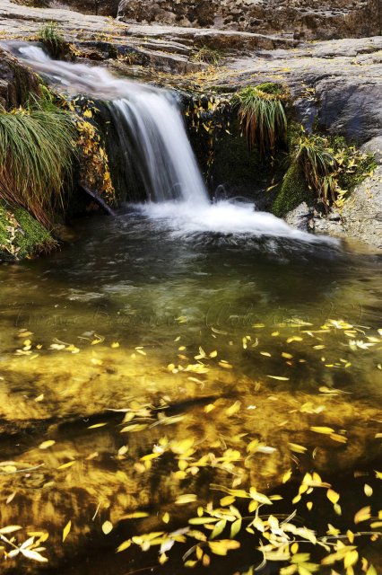 Detalle de agua en Guadarrama