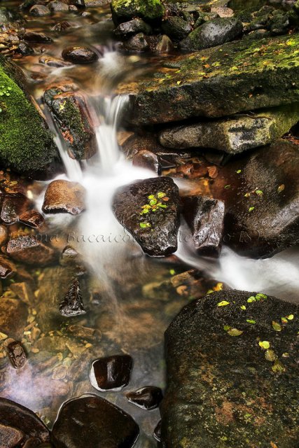 Detalle de agua y roca