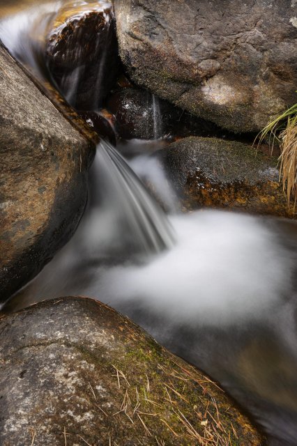 Detalles de Guadarrama