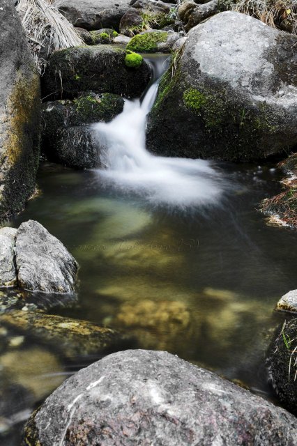 Detalles de Guadarrama II