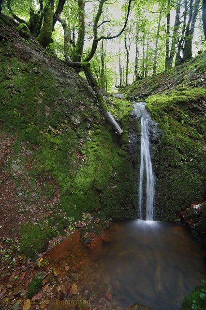 Día de verde y agua III