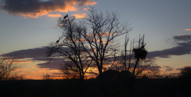 Disfrutando de la puesta de sol