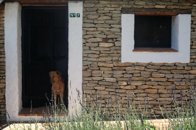 El inquilino de La Algaba, Ronda