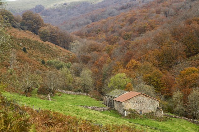 El otoño pasado