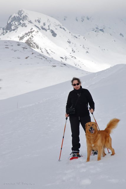 El placer de caminar 