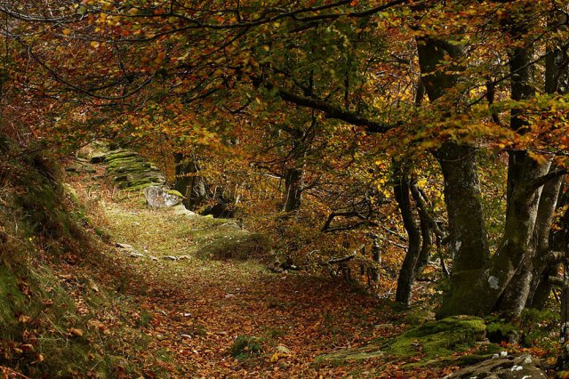 El viejo camino