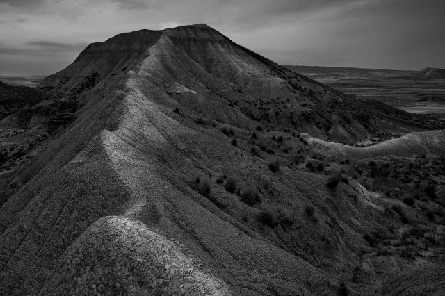 En blanco y negro