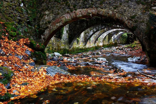 En otoño