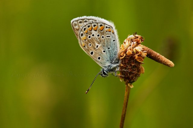 En Río Madera