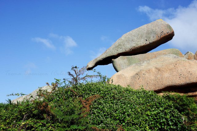 Equilibrios posibles