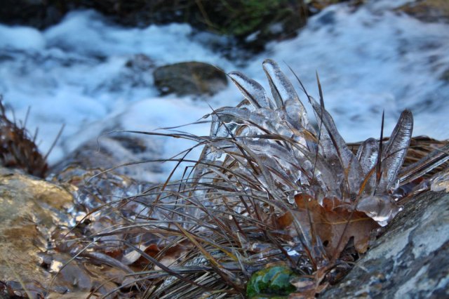 Estrella de hielo