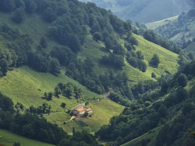 Fotografía de naturaleza