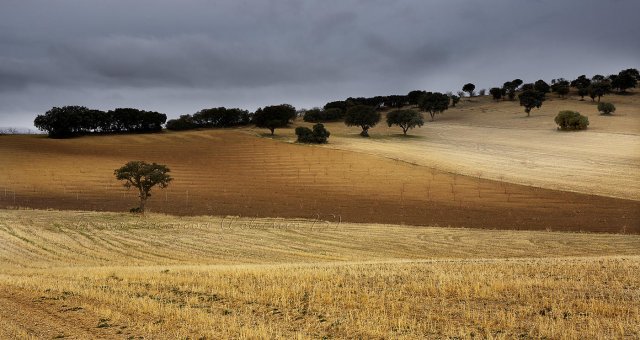 Fotos y barro