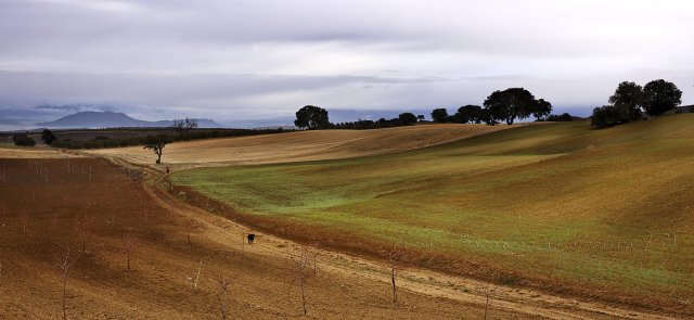 Fotos y barro II