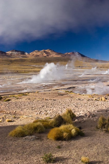 Geyser del tatio