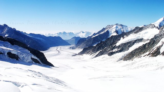 glaciar Aletsch