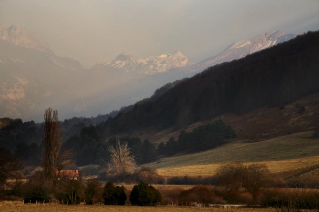 Invernal pirenaica