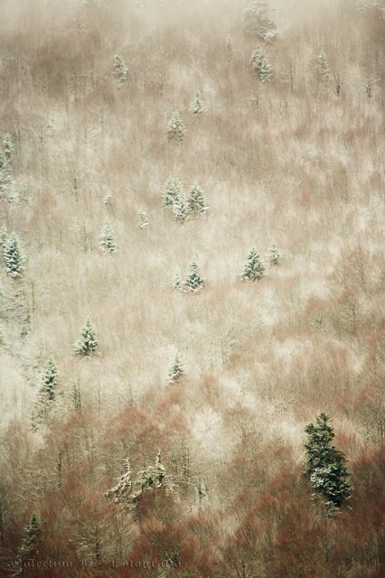 Invierno